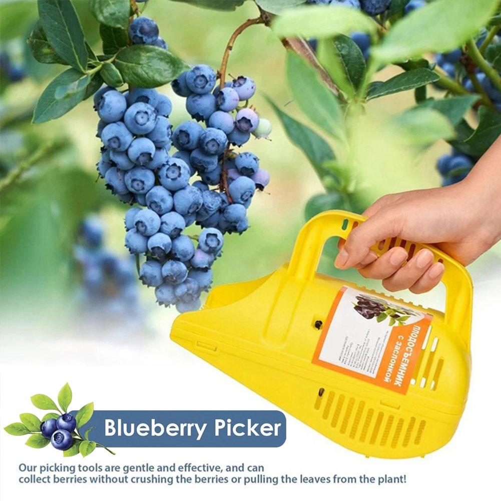 Gardening Tools Must Haves - Raccoglitore di Mirtilli con Impugnatura Facile,