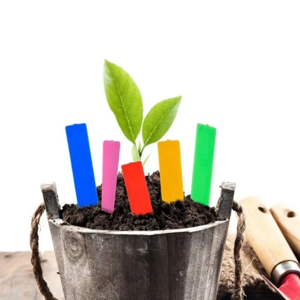 Gardening Tools Labeled - 100 Etichette per Piante in Plastica,