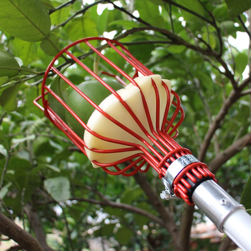 Gardening Tools Hand - Testa raccoglitrice di frutta in metallo/plastica