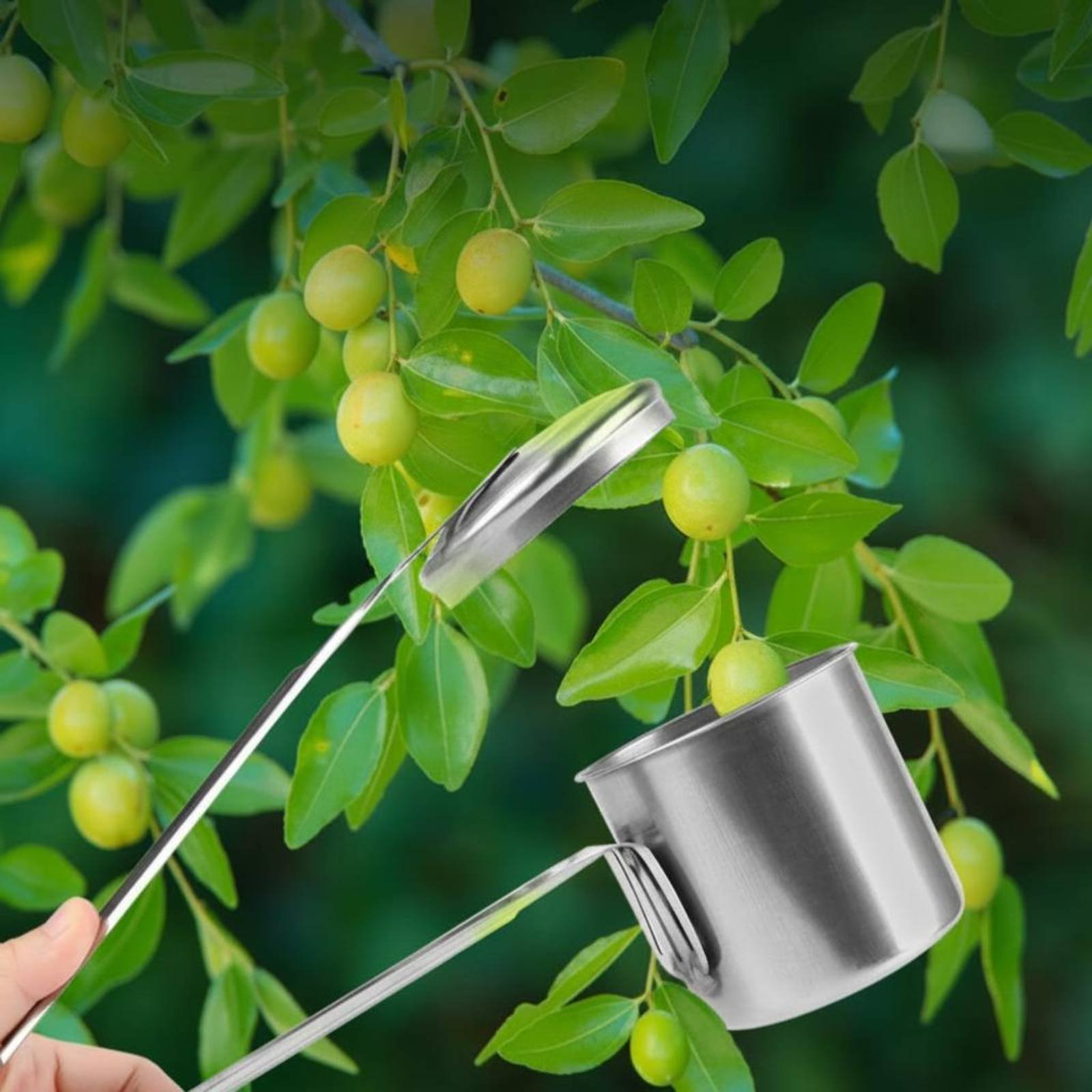 Gardening Tools Uses - Raccogli Frutta a Coppa in Acciaio