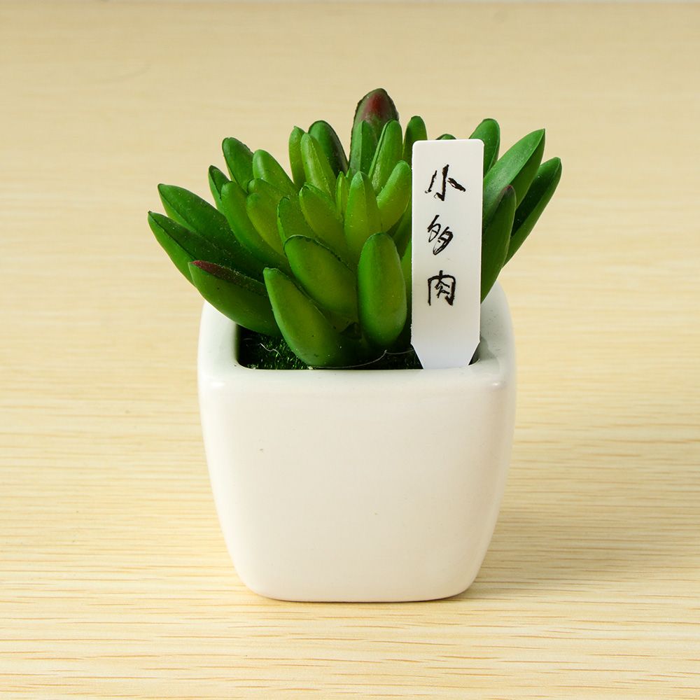 100 pezzi Mini etichetta di se - Gardening Tools Labeled recensione e prezzo