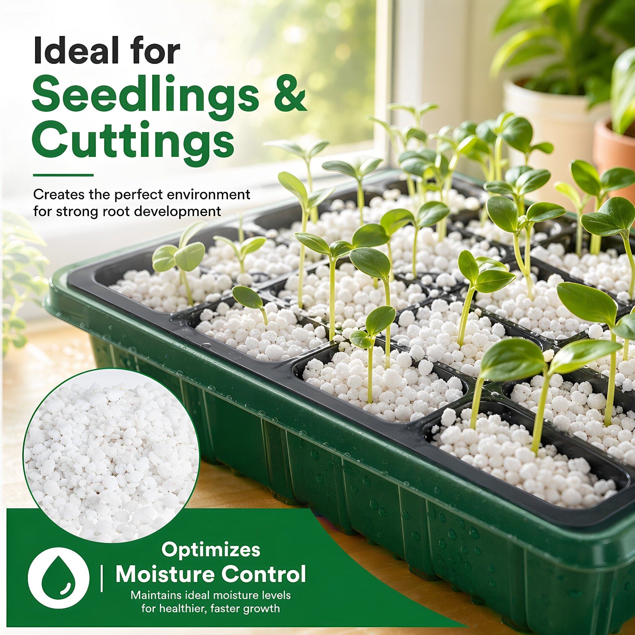 Perlite per Piante da Interno  - Horticulture Soil Perlite recensione e prezzo