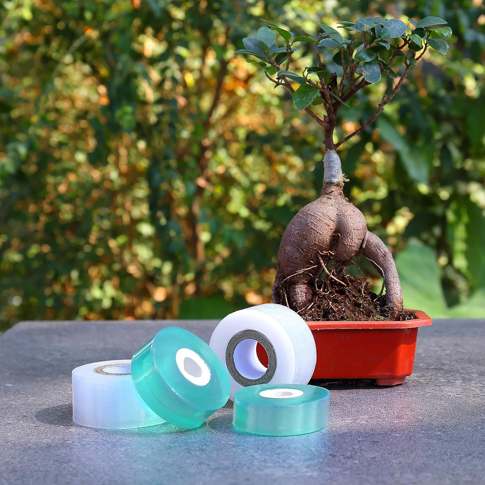 Nastro Adesivo Biodegradabile  - Gardening Tools Uses recensione e prezzo
