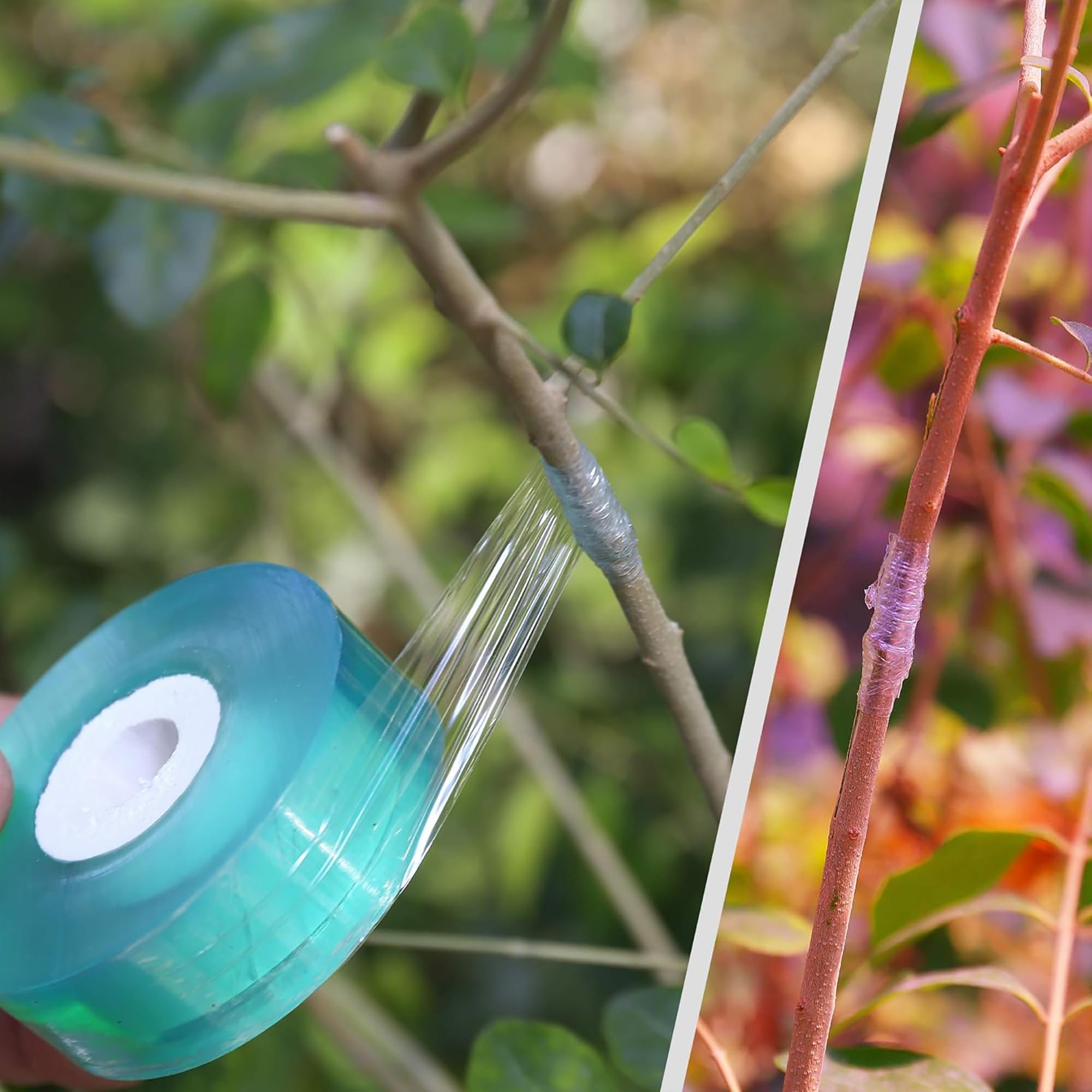 Nastro Adesivo Biodegradabile  - Gardening Tools Uses recensione e prezzo