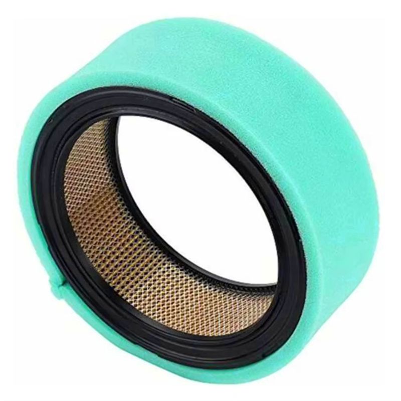 Filtro dell'aria indispensabil - Gardening Tools Must Haves recensione e prezzo