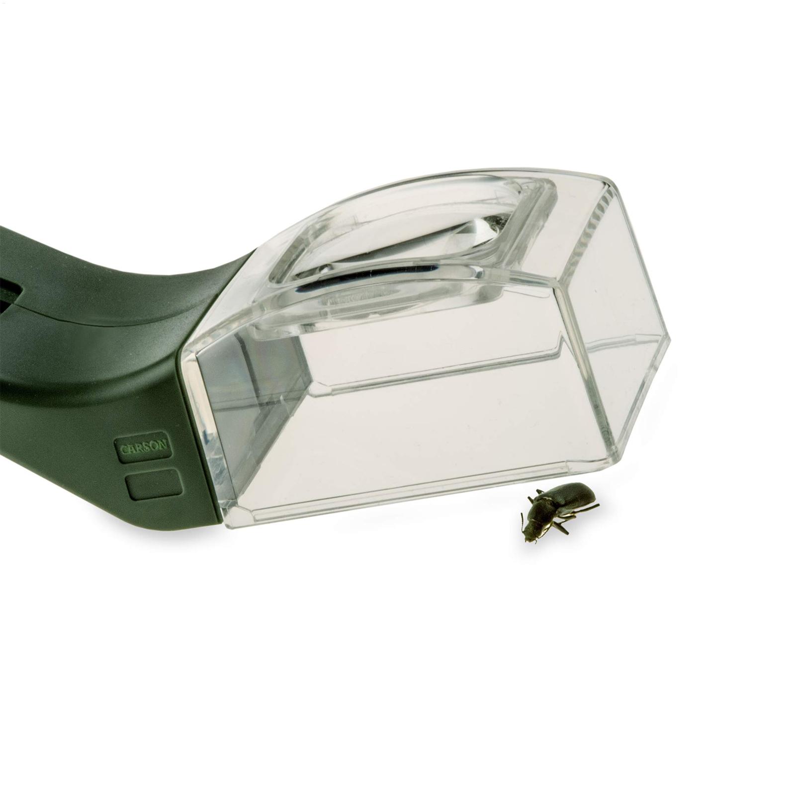 Lente d'Ingrandimento per Bamb - Gardening Tools Girls recensione e prezzo