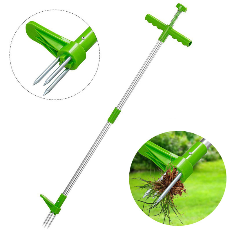 Estrattore di erbacce portatil - Gardening Tools Long recensione e prezzo