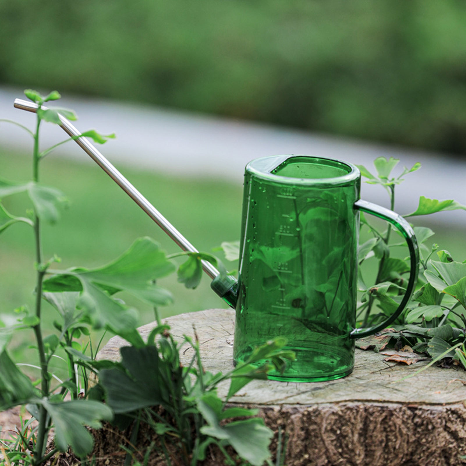 Annaffiatoio per Piante da Int - Watering Can Long Spout recensione e prezzo