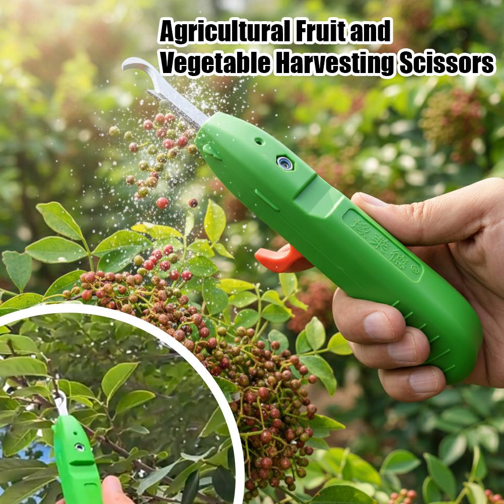 Forbici per la Raccolta di Fru - Gardening Tools Hand recensione e prezzo