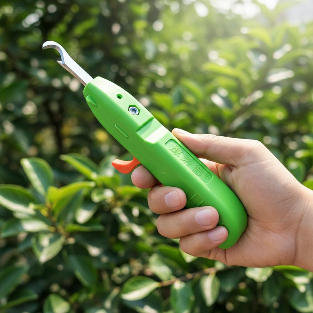 Forbici per la Raccolta di Fru - Gardening Tools Hand recensione e prezzo