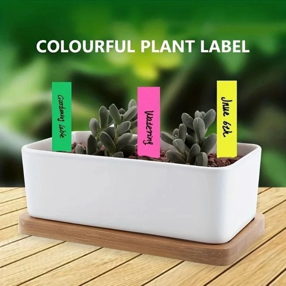 100 Etichette per Piante in Pl - Gardening Tools Labeled recensione e prezzo