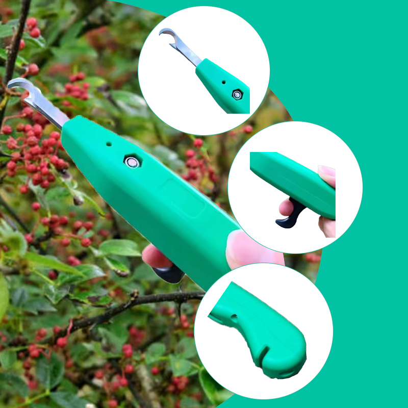 Raccoglitore Professionale di  - Gardening Tools Hand recensione e prezzo