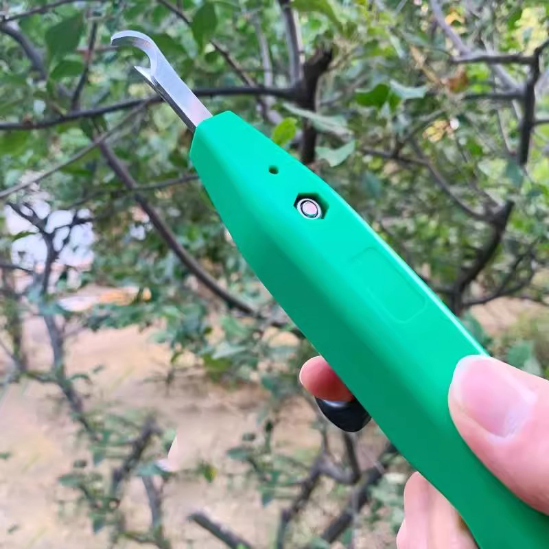 Raccoglitore Professionale di  - Gardening Tools Hand recensione e prezzo