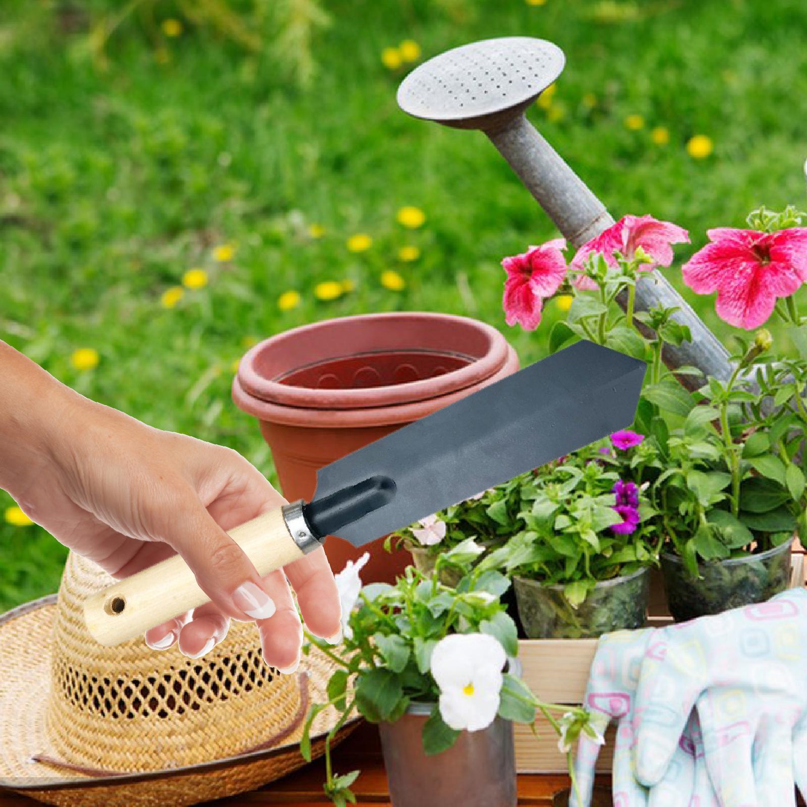 Piccola pala da giardino per s - Gardening Tools Hand recensione e prezzo