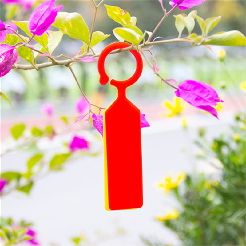 50 pz Etichette per piante imp - Gardening Tools Labeled recensione e prezzo