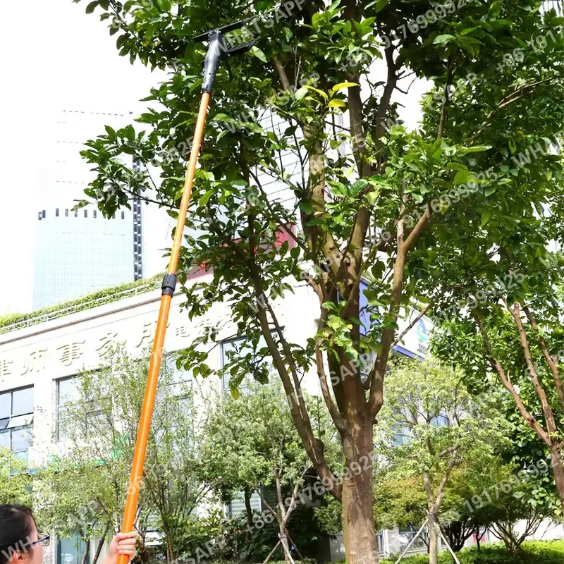 Attrezzo Magico per Raccolta i - Gardening Tools Must Haves recensione e prezzo