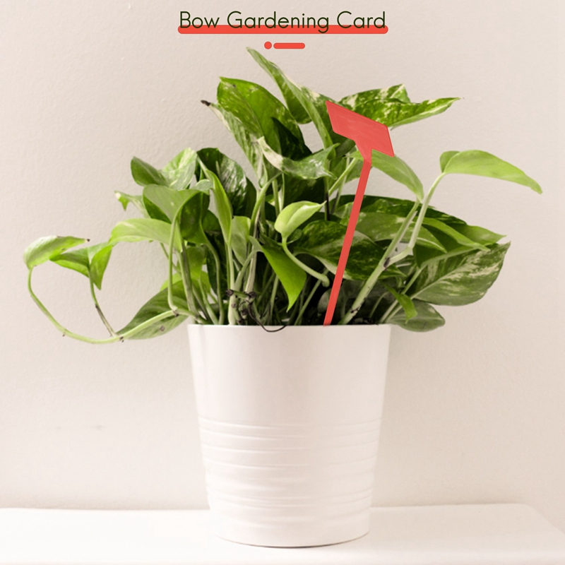 ABYP Attrezzi per piantare gia - Gardening Tools Labeled recensione e prezzo
