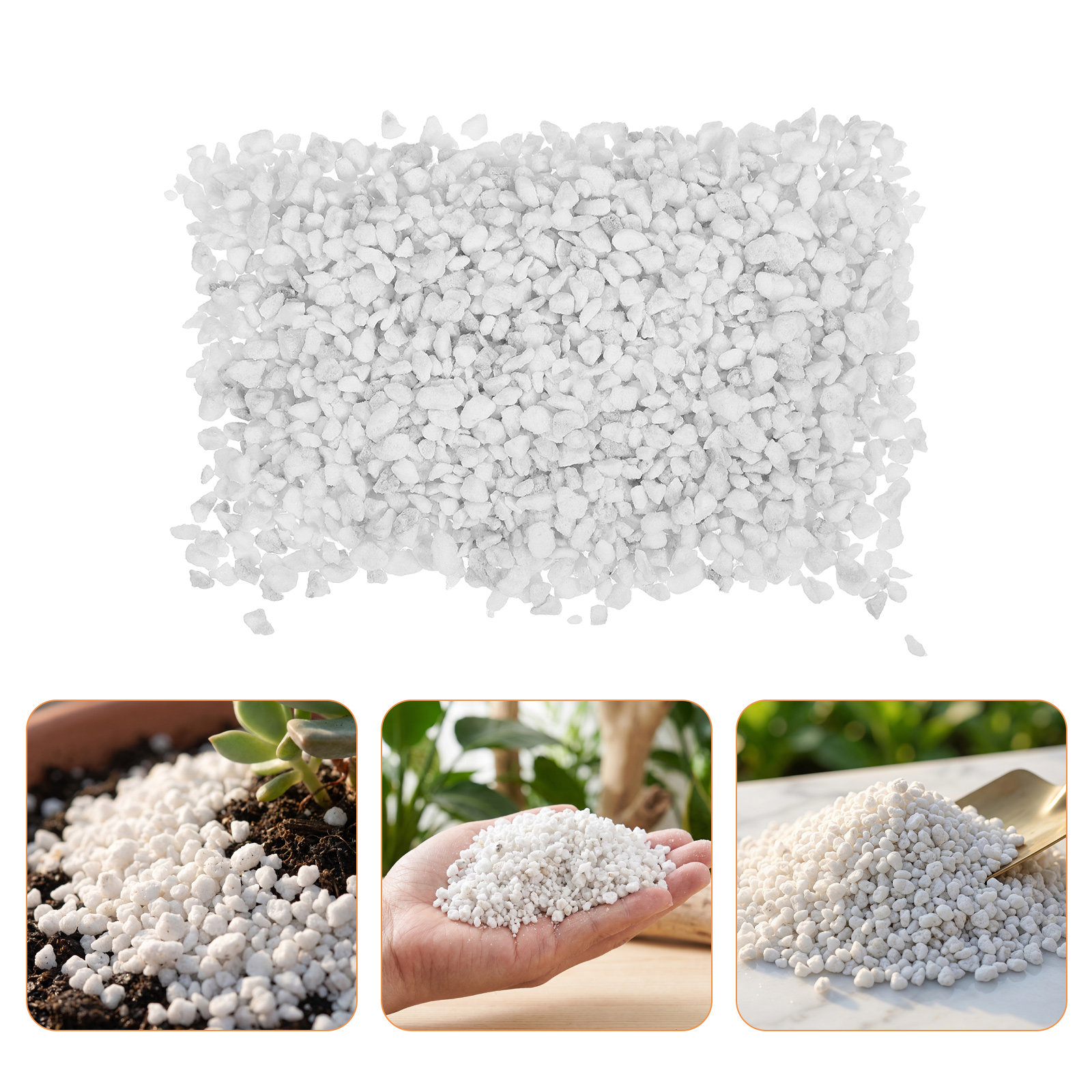 Perlite per Piante da Interno, - Horticulture Soil Perlite recensione e prezzo