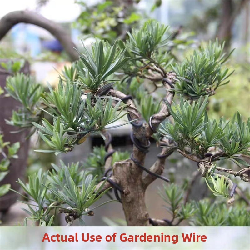 Fili per Bonsai da 1,5 mm in A - Gardening Tools Uses recensione e prezzo