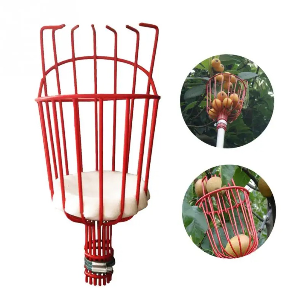 Testa raccoglitrice di frutta  - Gardening Tools Hand recensione e prezzo