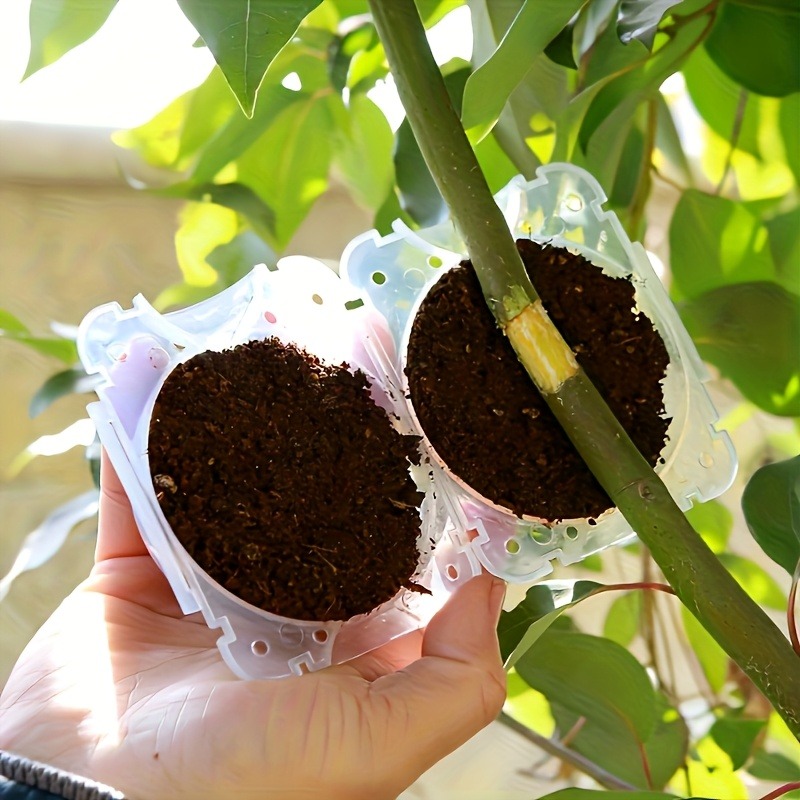 Kit da 10 Pezzi per Propagazio - Gardening Tools Uses recensione e prezzo