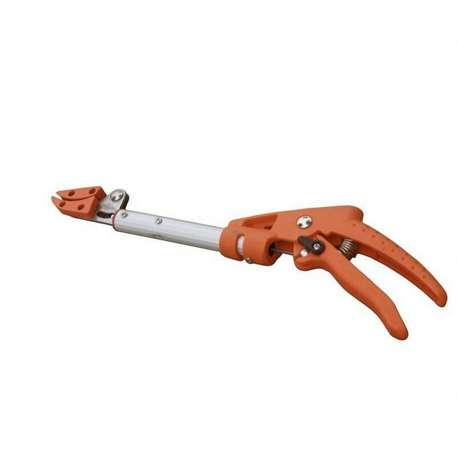 Forbici da Potatura per Giardi - Gardening Tools Long recensione e prezzo