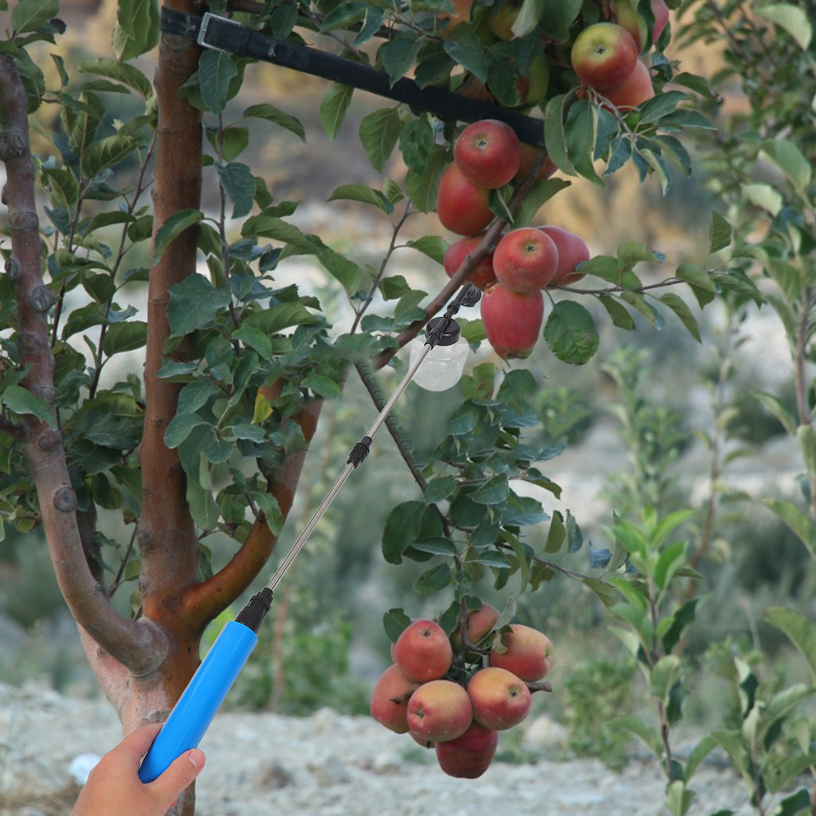 Spruzzatore Manuale per Impoll - Gardening Tools Uses recensione e prezzo