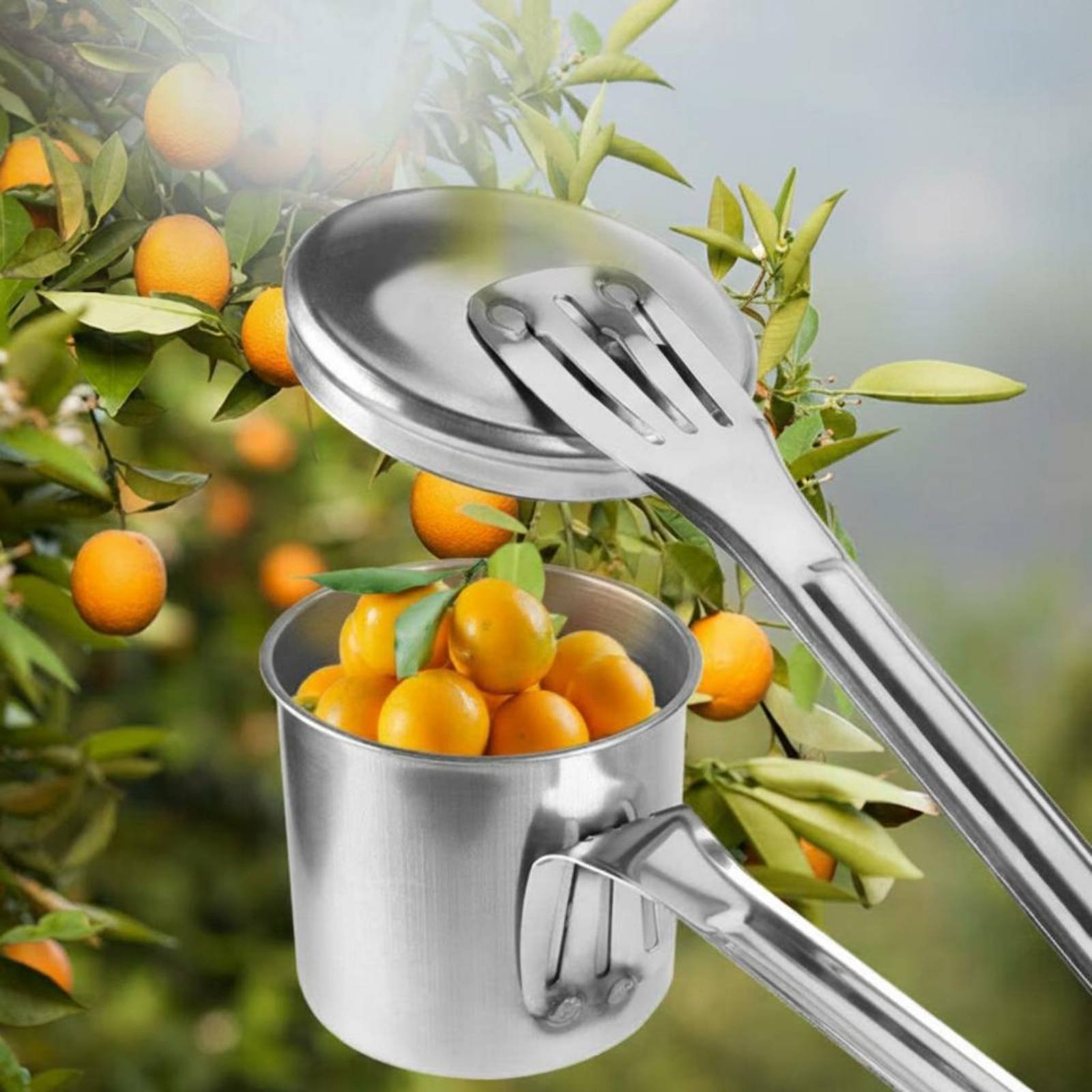 Raccogli Frutta a Coppa in Acc - Gardening Tools Uses recensione e prezzo