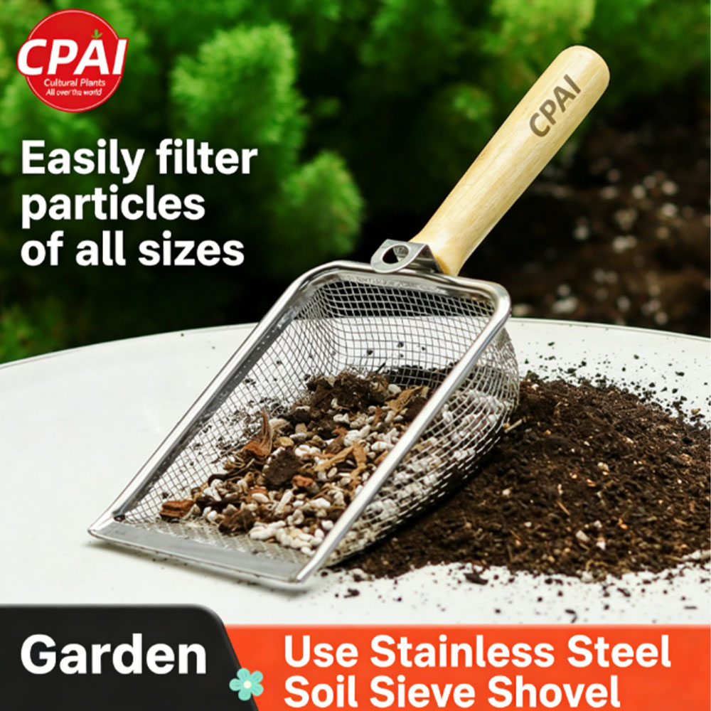 Setaccio per Terreno Indispens - Gardening Tools Must Haves recensione e prezzo