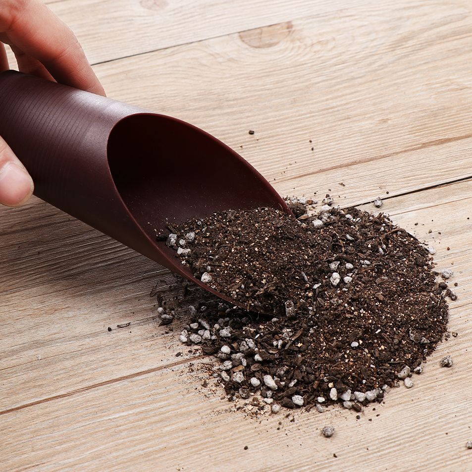 1 pz plastica terreno pala taz - Gardening Tools Hand recensione e prezzo